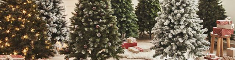 Recyclez votre sapin !